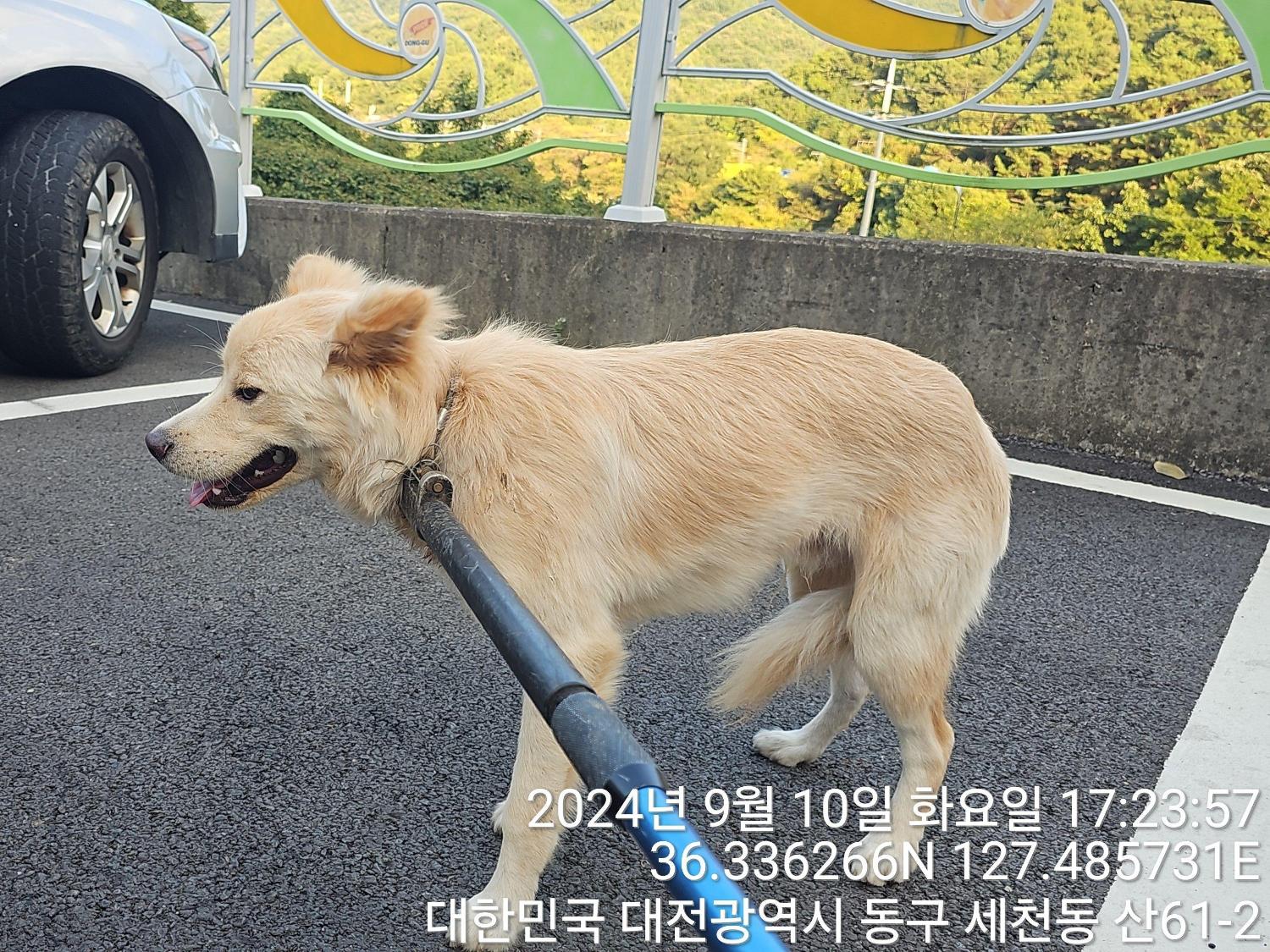 대전동물보호센터_430364202400683