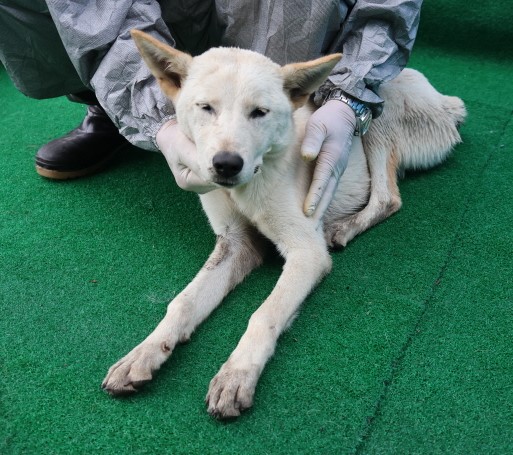 제주 동물보호센터_450650202402653