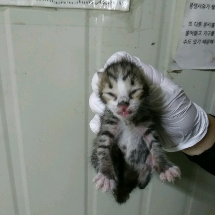 종료(자연사) 한국…