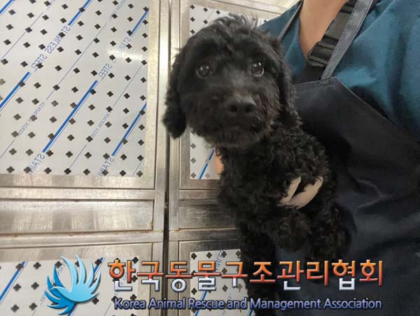 한국동물구조관리협회_441406202401475