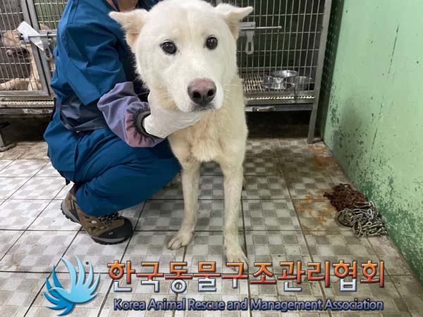 한국동물구조관리협회_441559202400956