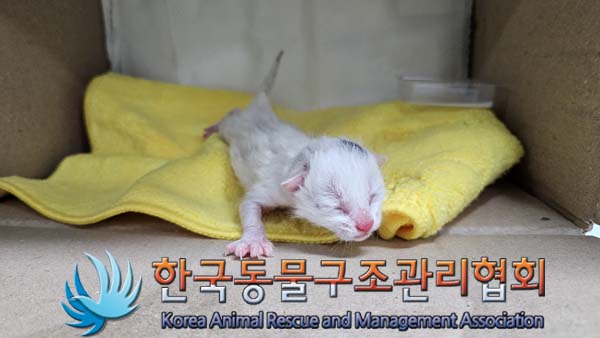 종료(자연사) 한국…