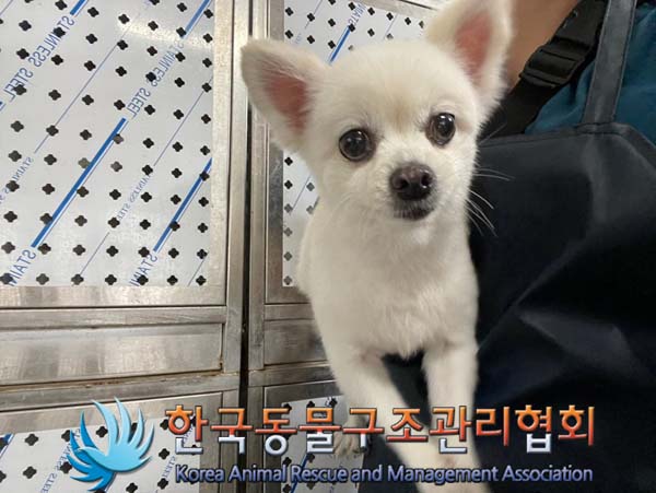 한국동물구조관리협회_411316202400487