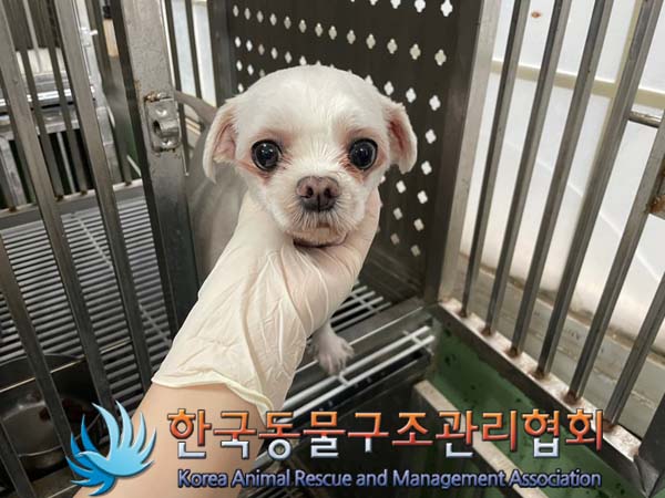 한국동물구조관리협회_411307202400457