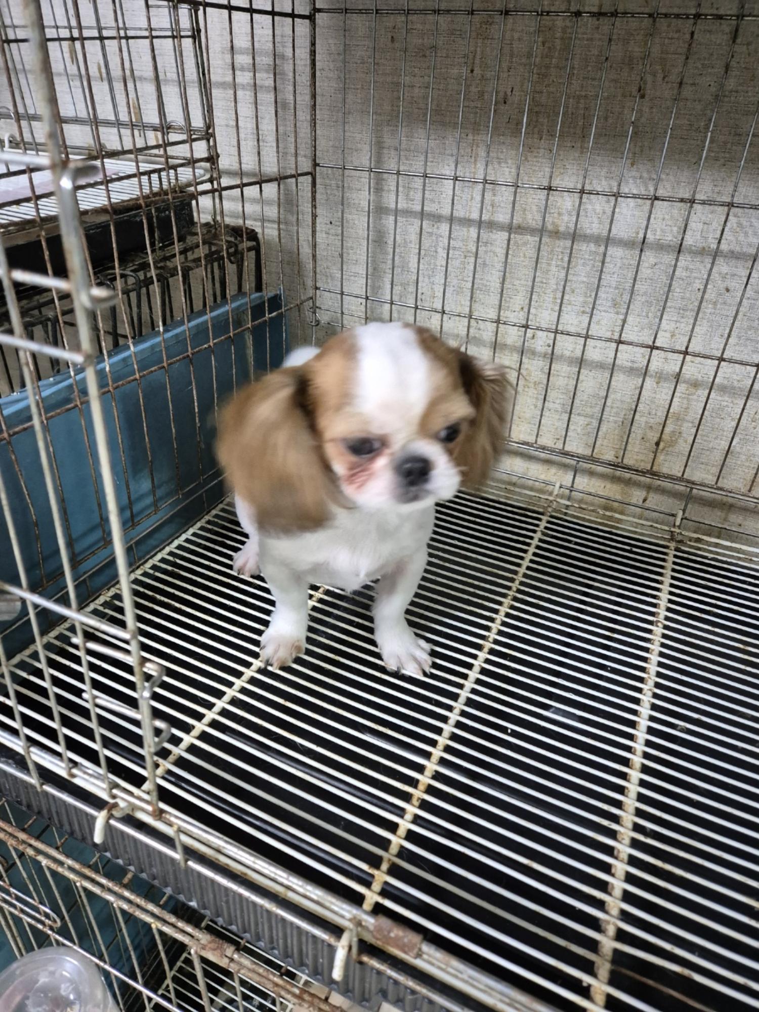 우리동물병원_428356202401548
