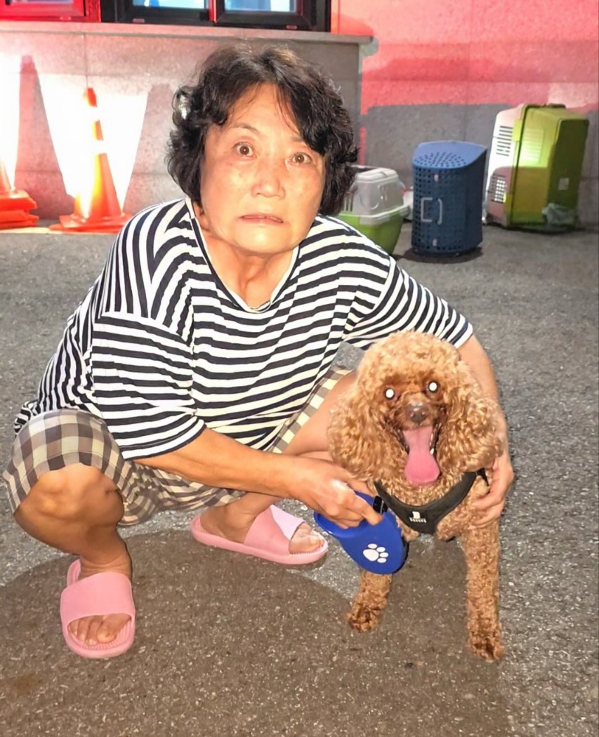 한국동물구조관리협회_441392202400255