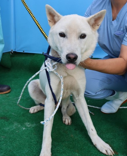 제주 동물보호센터_450650202402682