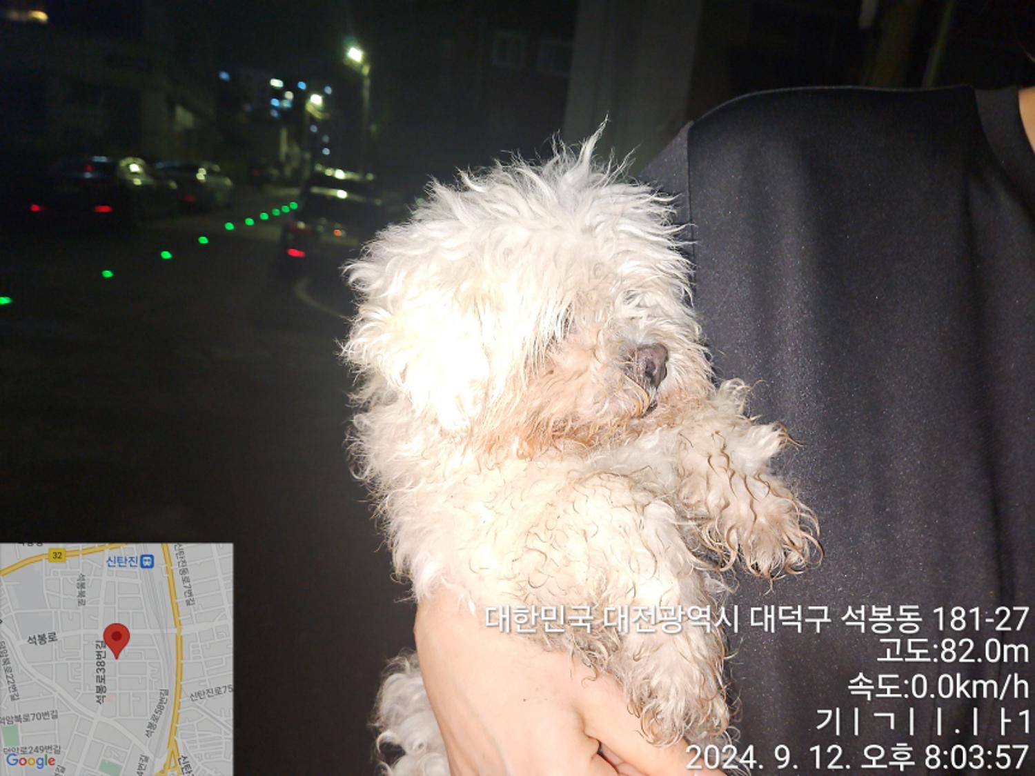 대전동물보호센터_430368202400389
