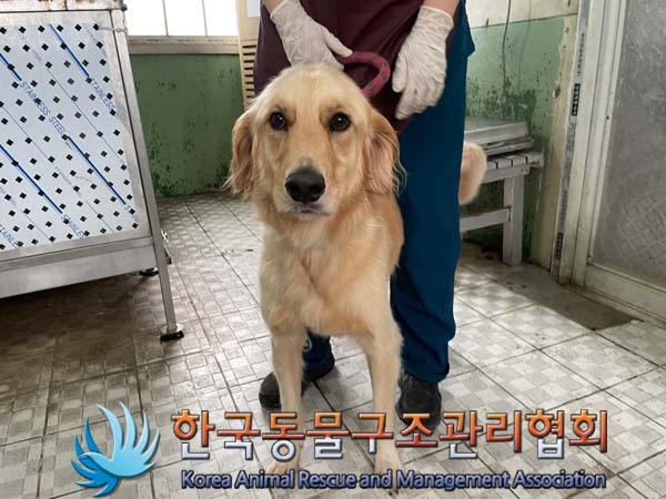 한국동물구조관리협회_411305202400522