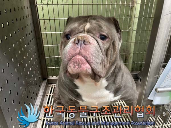 한국동물구조관리협회_411316202400491