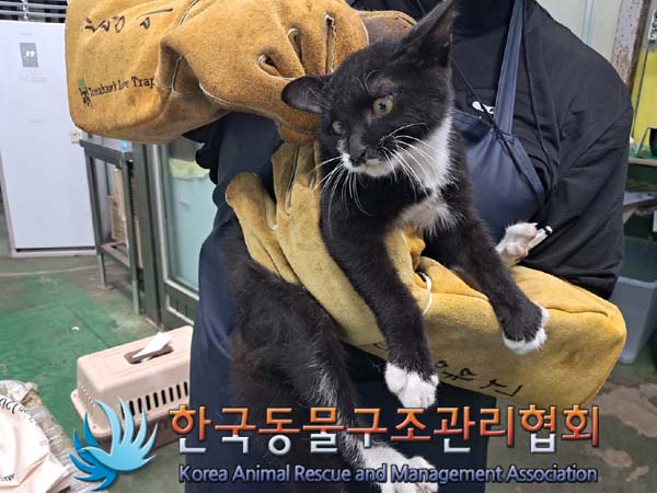 한국동물구조관리협회_411323202400960