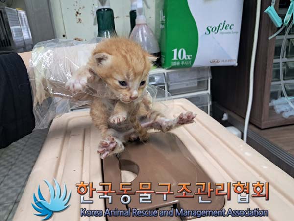 종료(자연사) 한국…