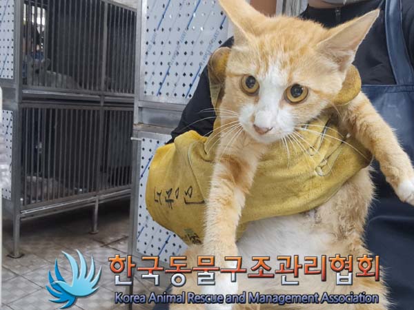 종료(자연사) 한국…