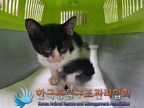 종료(자연사) 한국…