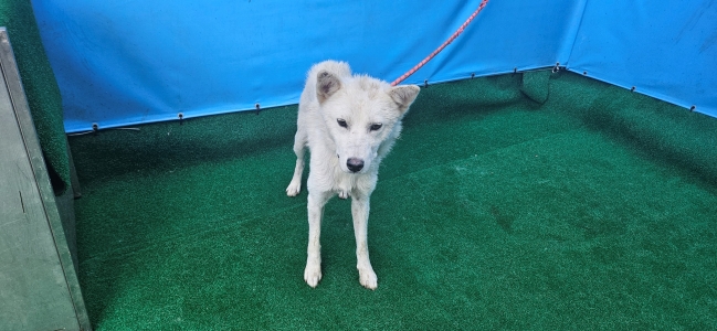 제주 동물보호센터_450650202402695
