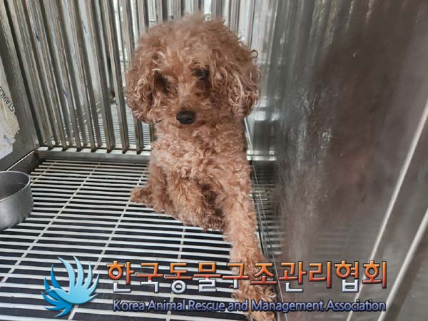 한국동물구조관리협회_441382202400700