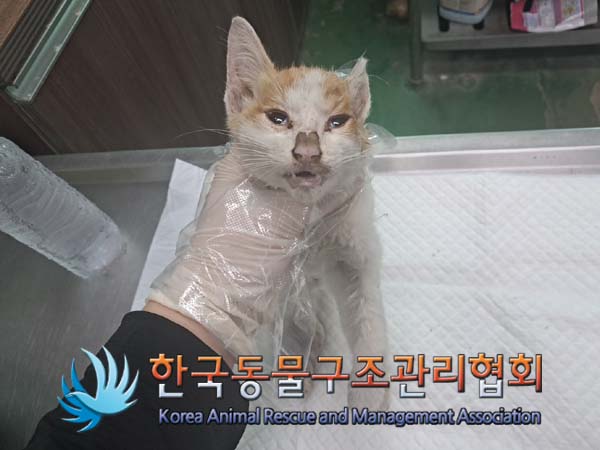 종료(자연사) 한국…