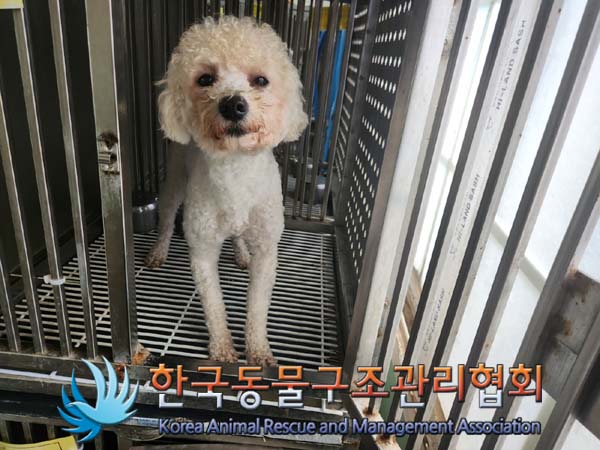 한국동물구조관리협회_441409202401363