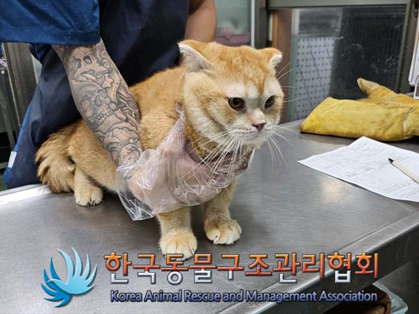 한국동물구조관리협회_441406202401478