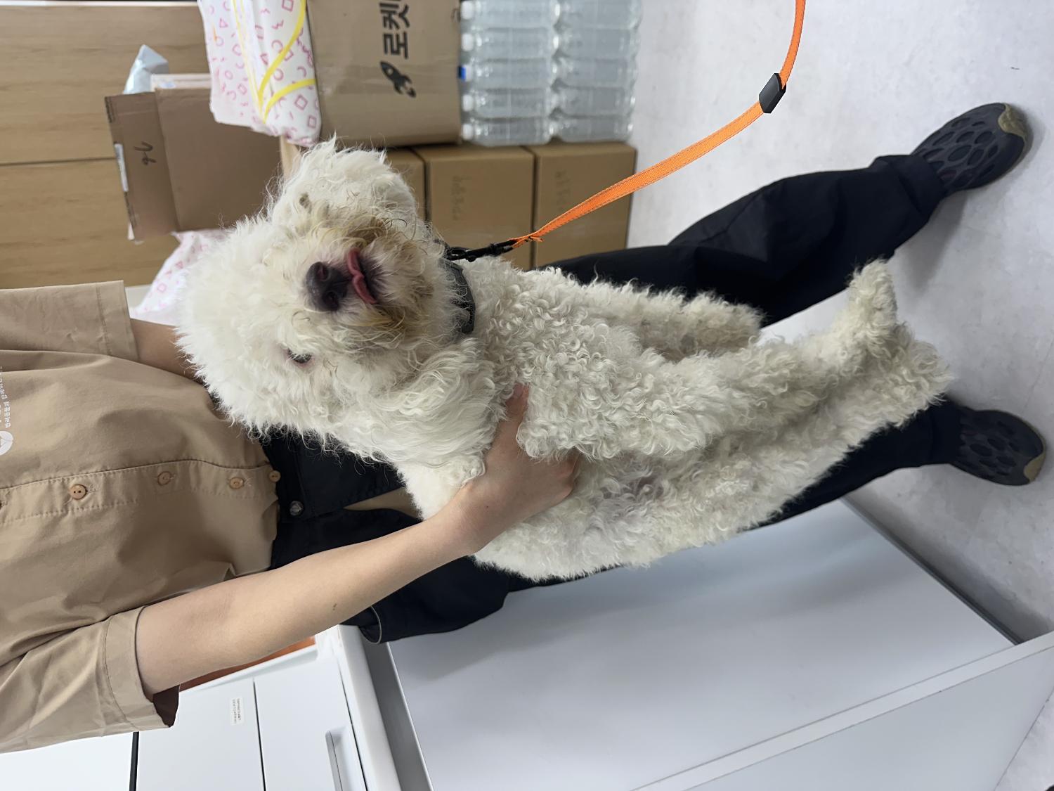 내품애센터_411312202400734