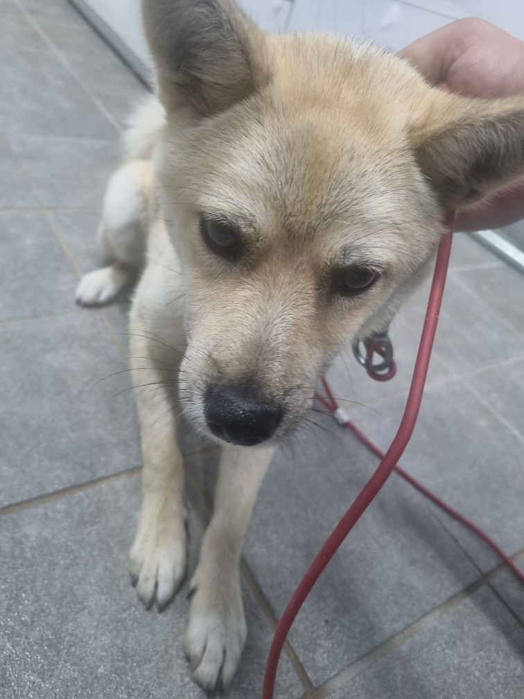 군위종합동물병원_427514202400596