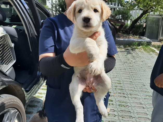 박영재동물병원_445464202402739