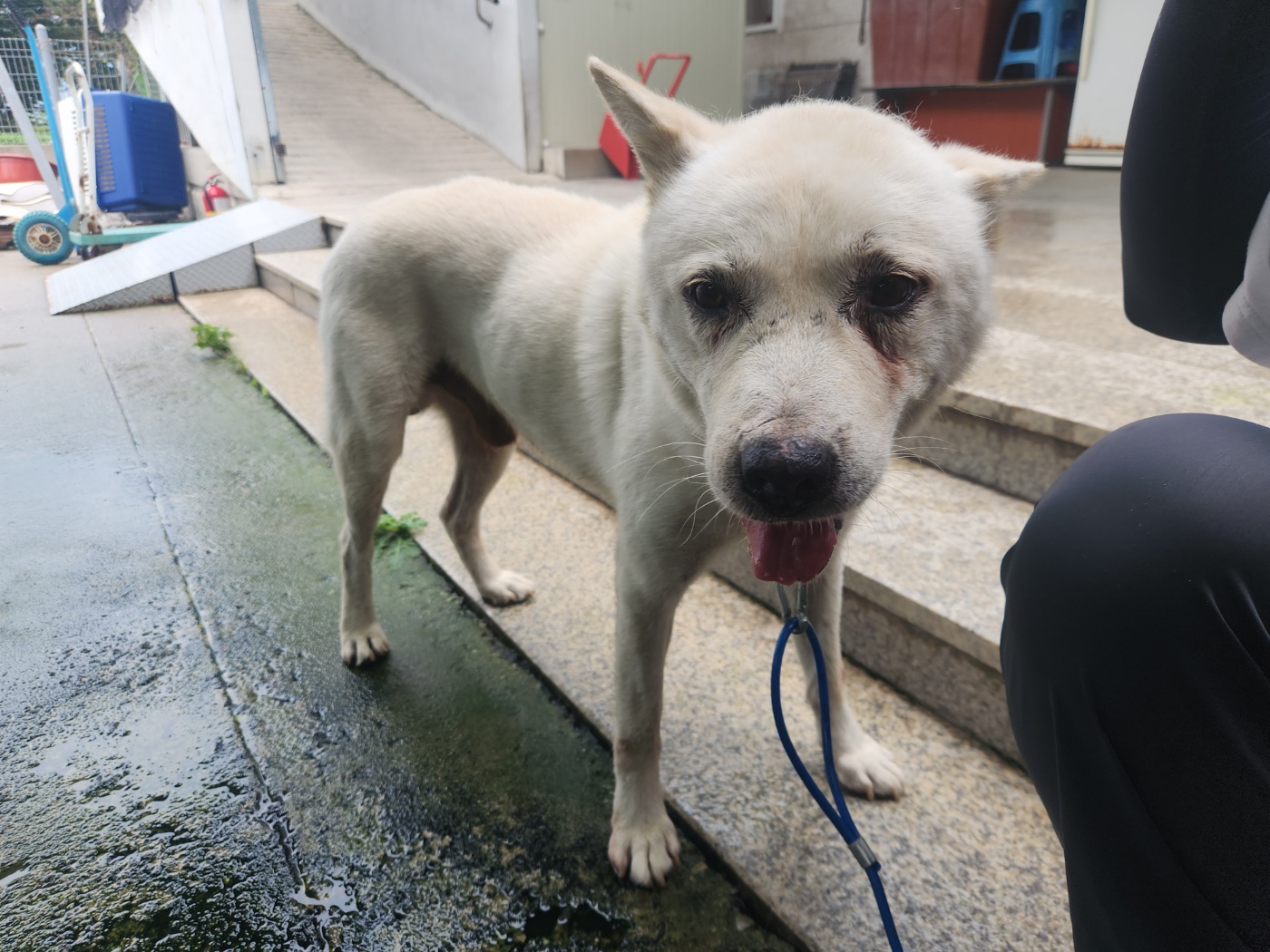 광주 동물보호소_429360202400701