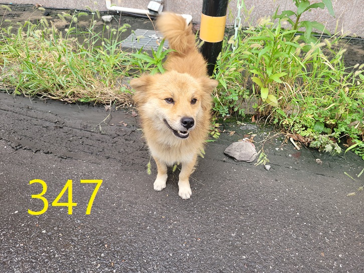 신영재동물병원_428355202400602