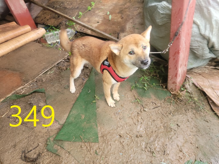 신영재동물병원_428355202400604