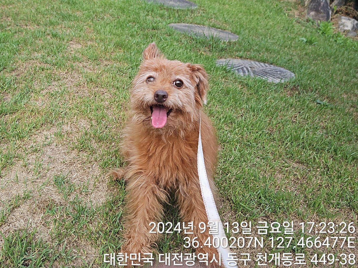 대전동물보호센터_430364202400688
