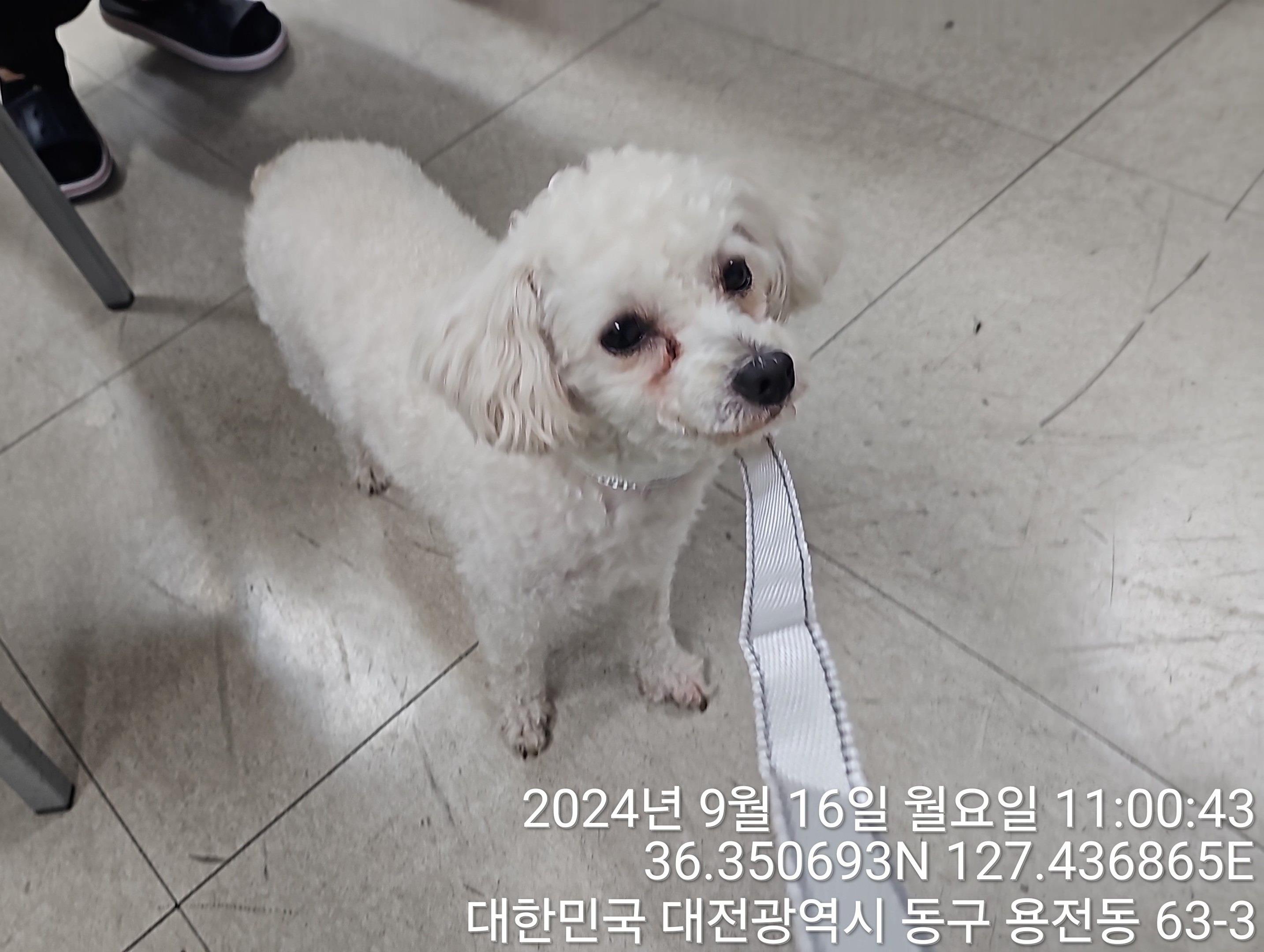 대전동물보호센터_430364202400690