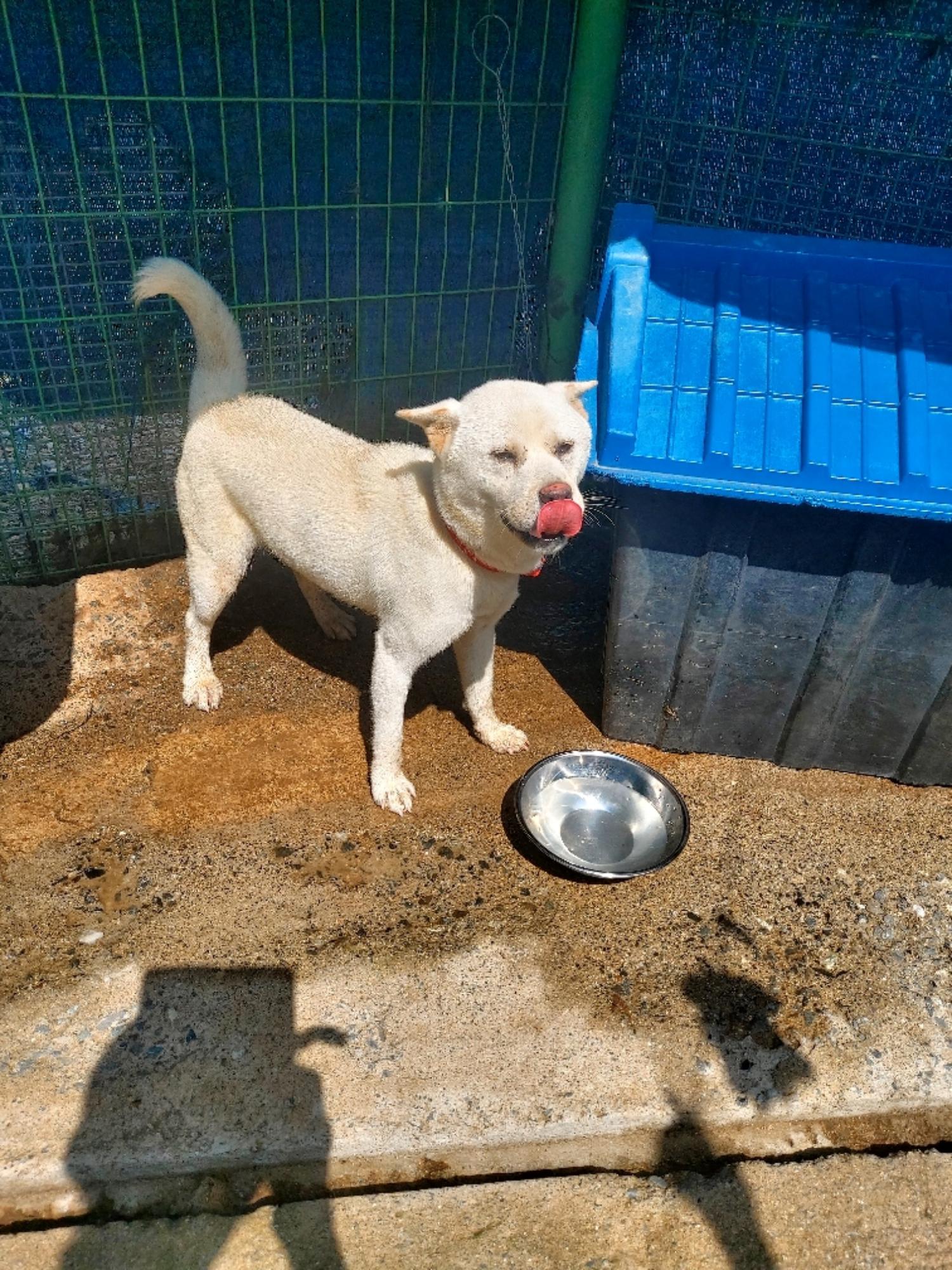 제일동물병원_444455202400548