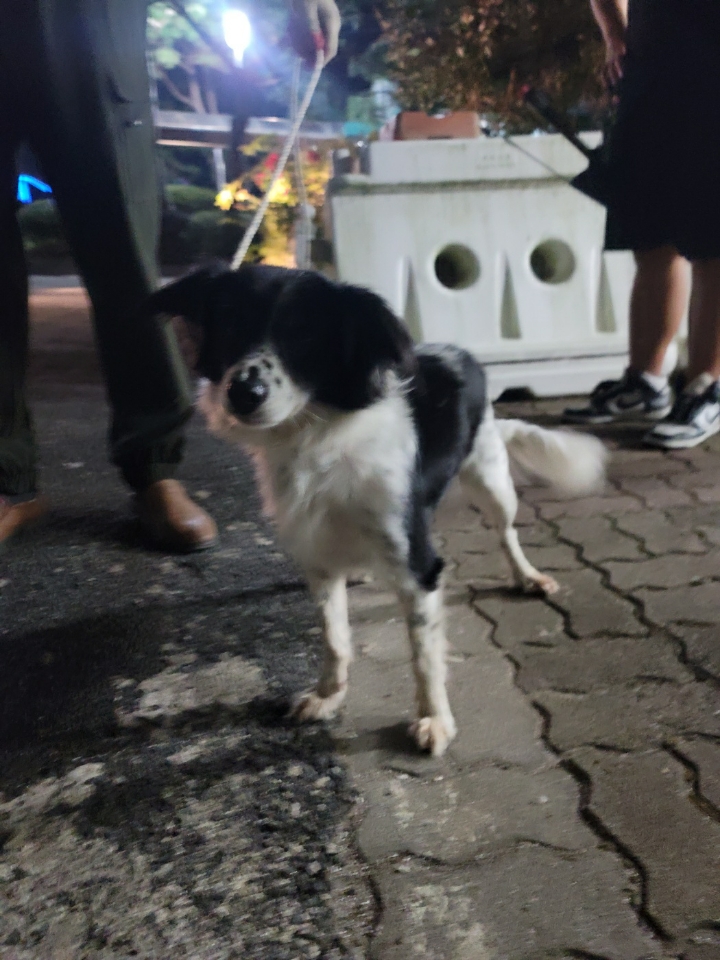 괴산증평동물보호센터_443446202400439