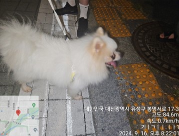대전동물보호센터_430367202400644