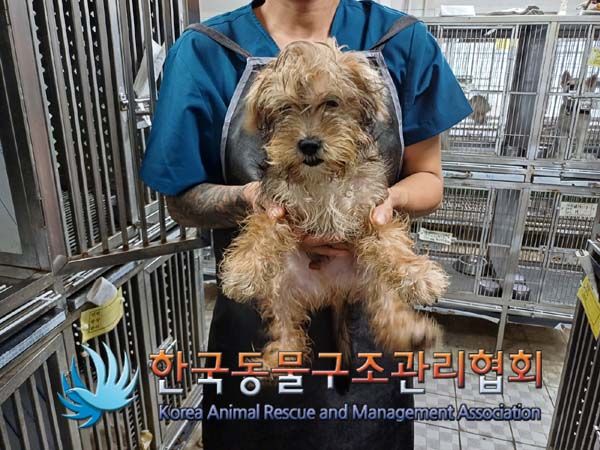 한국동물구조관리협회_411310202400647