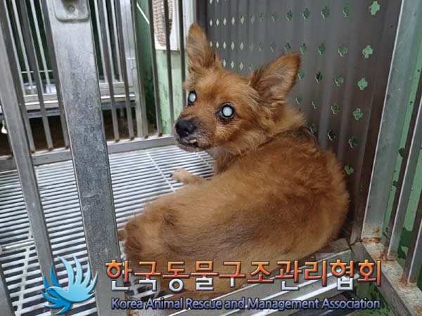 한국동물구조관리협회_411317202400310