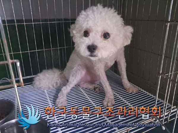 한국동물구조관리협회_411317202400311
