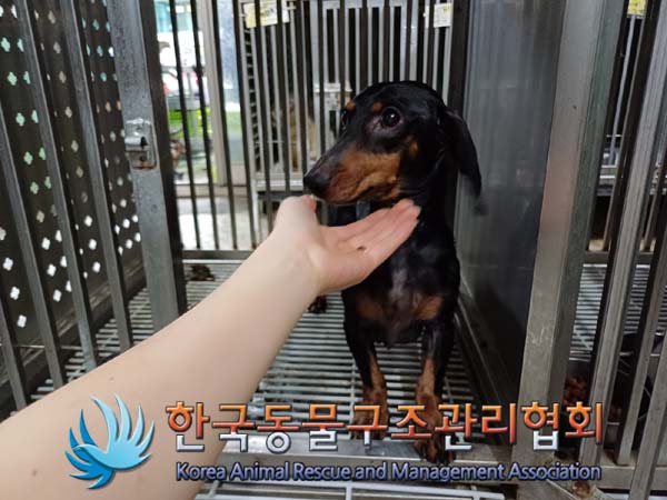 한국동물구조관리협회_411300202400391