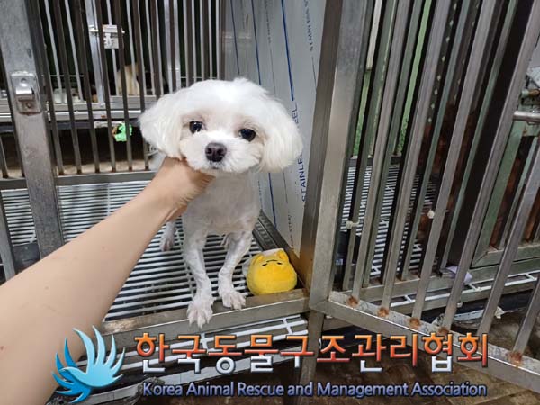 한국동물구조관리협회_411323202400968