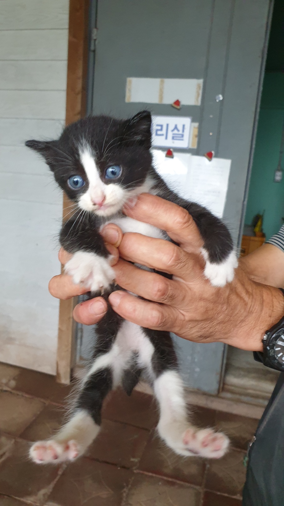 종료(자연사) 믹스…