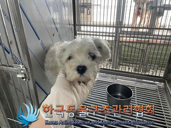 한국동물구조관리협회_441560202401151