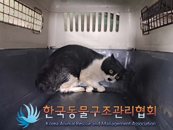 한국동물구조관리협회_441414202400726
