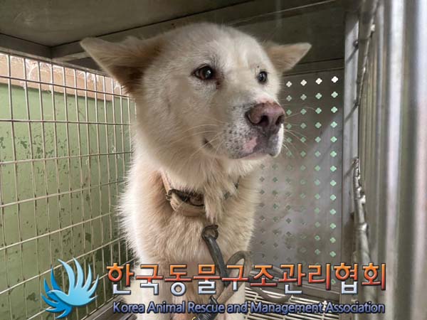 한국동물구조관리협회_441392202400259