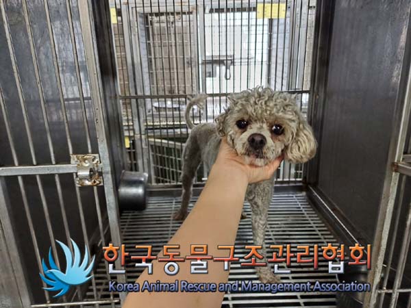 한국동물구조관리협회_441560202401147