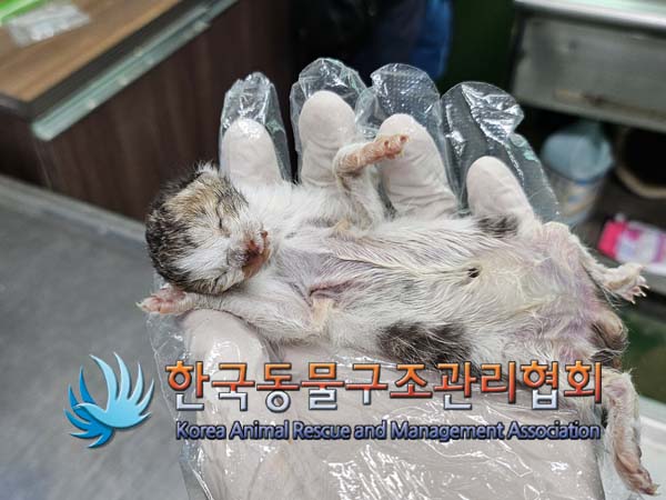 한국동물구조관리협회_411307202400460