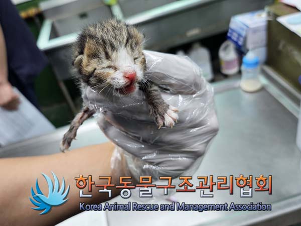 종료(자연사) 한국…