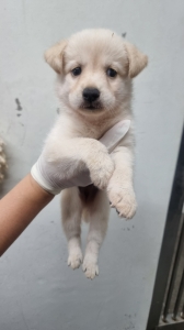 제주 동물보호센터_450650202402726