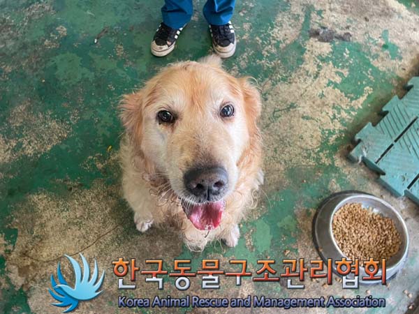 한국동물구조관리협회_411312202400749