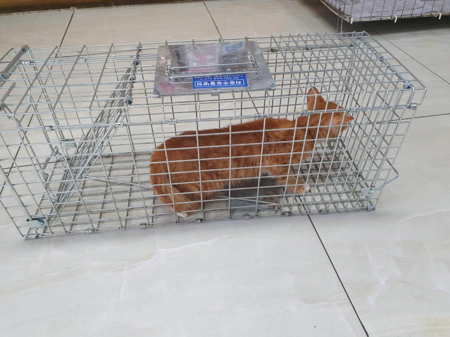 종료(자연사) 한국…