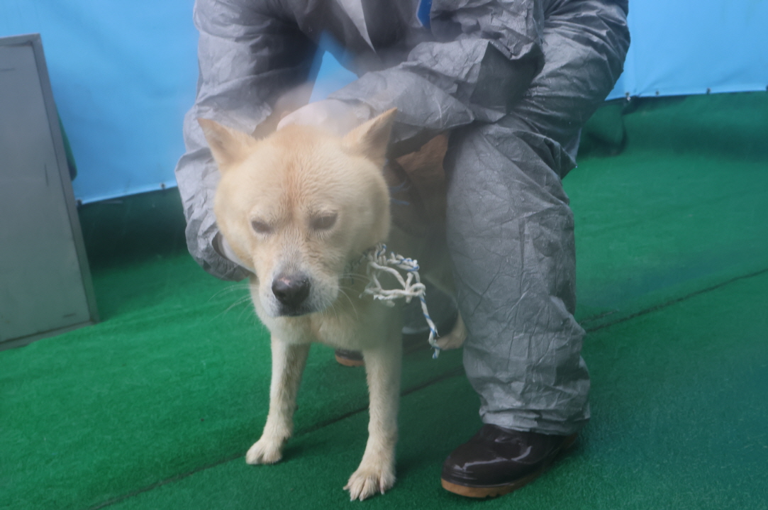 제주 동물보호센터_450650202402737